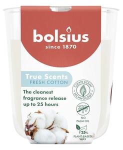 Sviečka Bolsius True Scents, čerstvá balvna, 80x73 mm, v skle