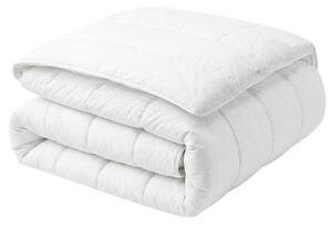 Přikrývka Polyester Středně hřejivá CHAPCHA 200 x 220 cm