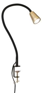 Orion - Flexibilní stolní lampa s klipem DOTTY 1xGU10/10W/230V mosaz/černá