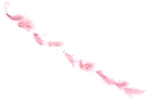 Závěsná dekorace z peří s korálky, barva růžová AK1904-PINK