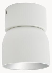 Stmívatelné stropní svítidlo Pitcher