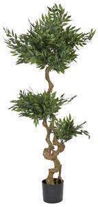 Umělá rostlina RUSCUS TREE 166 cm Zelená