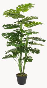 Umělá rostlina Philodendron