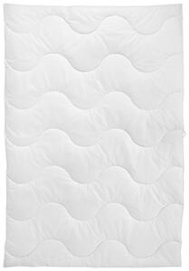 LETNÍ PŘIKRÝVKA, 135/200 cm, polyester Sleeptex - Přikrývky, Online Only