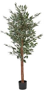 Umělá rostlina FICUS 167 cm Zelená