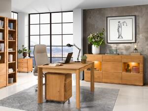 Dubový nábytek z masivu do obývacího pokoje a pracovny DALLAS dub olejovaný