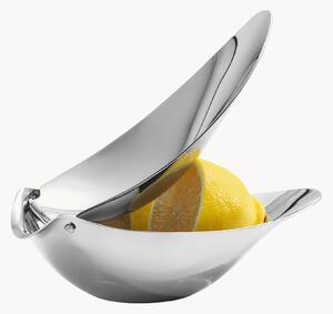 Lis na citrusy Callista