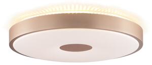 Brilliant - LED Stropní svítidlo TAVIS LED/24W/230V pr. 44,5 cm rose gold