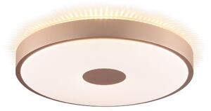 Brilliant - LED Stropní svítidlo TAVIS LED/24W/230V pr. 44,5 cm rose gold