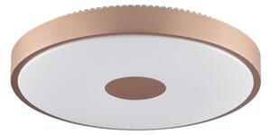 Brilliant - LED Stropní svítidlo TAVIS LED/24W/230V pr. 44,5 cm rose gold