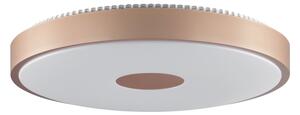 Brilliant - LED Stropní svítidlo TAVIS LED/24W/230V pr. 44,5 cm rose gold