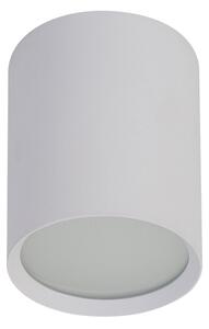 BRILAGI - Bodové svítidlo SMOOTH LONG 1xGX53/15W/230V bílá