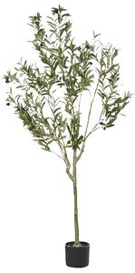 Umělá rostlina OLIVE TREE 153 cm Zelená