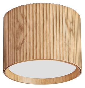 BRILAGI - Bodové svítidlo STRIPY 1xGX53/15W/230V dekor dubu