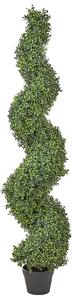 Umělá rostlina BUXUS SPIRAL TREE 158 cm Zelená