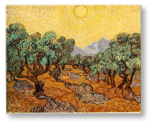 Obraz na plátně OLIVOVNÍKY – Vincent van Gogh