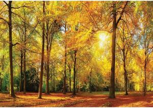 Vliesové fototapety 13460V8, rozměr 368 cm x 254 cm, stromy v parku, IMPOL TRADE