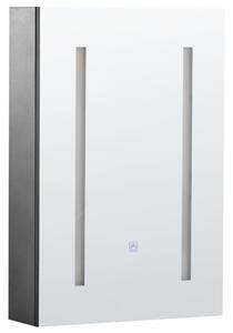 Nástěnná zrcadlová skříňka do koupelny LED CAMERON 40 cm 60 cm Černá