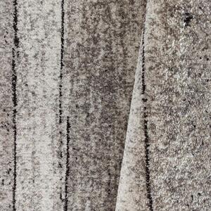 Makro Abra Moderní kusový koberec Panamero 20 Dřevo Desky šedý béžový Rozměr: 120x170 cm