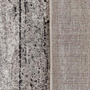 Makro Abra Moderní kusový koberec Panamero 20 Dřevo Desky šedý béžový Rozměr: 80x150 cm