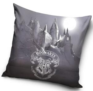Dětský polštářek Harry Potter Bradavické Tajemství 40x40 cm