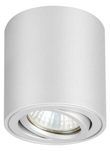 Brilagi - Bodové svítidlo MIA 1xGU10/30W/230V 84x80 mm stříbrná