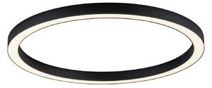 LED stropní svítidlo PURE Lines, Ø 70 cm, antracit, CCT, dálkové ovládání