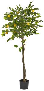 Umělá rostlina LEMON TREE 156 cm Zelená