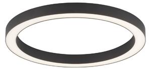 Stropní svítidlo LED PURE Lines, Ø 50 cm, antracit, CCT, dálkové ovládání