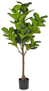 Umělá rostlina FIG TREE 162 cm Zelená