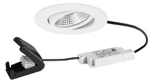 BRUMBERG BB23 LED reflektor IP65 RC-dim připojovací krabice texturovaná