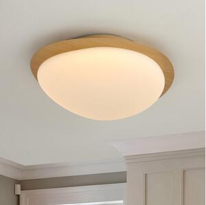 Brilagi - LED Stropní svítidlo VISBY WOOD LED/18W/230V pr. 38 cm hnědá