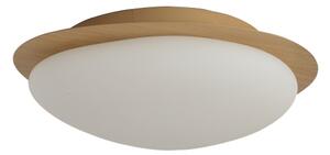 Brilagi - LED Stropní svítidlo VISBY WOOD LED/18W/230V pr. 38 cm hnědá