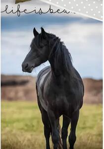 Povlečení bavlna fototisk Černý Mustang 140x200+70x90 cm