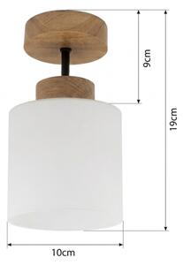 BRILAGI - LED Přisazený lustr RETRO GLASS 1xE27/60W/230V pr. 10 cm dub/bílá