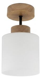 BRILAGI - LED Přisazený lustr RETRO GLASS 1xE27/60W/230V pr. 10 cm dub/bílá