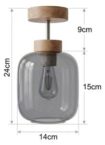 BRILAGI - LED Přisazený lustr R GLASS 1xE27/60W/230V pr. 14 cm dub/kouřová šedá
