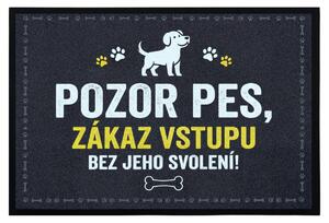 Mercury Flooring, Rohožka se psím svolením 40x60 cm - na ven i na doma, 40x60, šedá