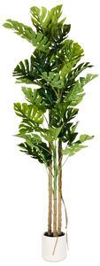 Umělá rostlina MONSTERA PLANT 221 cm Zelená