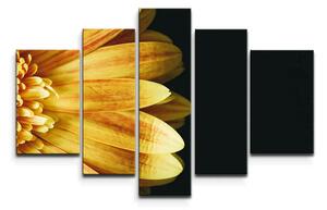 Sablio Obraz - 5-dílný Žlutá gerbera - 125x90 cm
