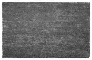 Chlupatý koberec DEMRE Tmavě šedá 200 x 300 cm