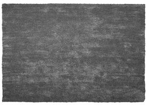 Chlupatý koberec DEMRE Tmavě šedá 160 x 230 cm