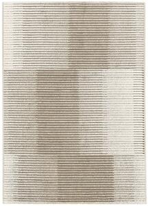 Breno Kusový koberec TERRA 01/EDE, Béžová, Vícebarevné, 80 x 150 cm