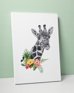 Plakát / Obraz Žirafa Pololesklý saténový papír 40 x 50 cm