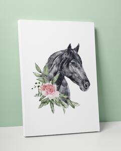 Plakát / Obraz Kůň Napnuté plátno na dřevěném rámu 50 x 70 cm