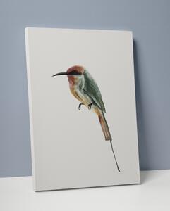 Plakát / Obraz Bird Pololesklý saténový papír S okrajem A4 - 21 x 29,7 cm