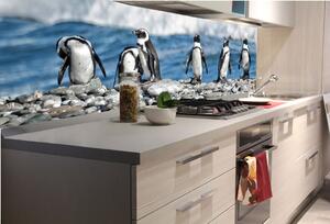 DIMEX | Fototapeta do kuchyně Tučňáci KI-180-112 | 180 x 60 cm | bílá, černá, šedá