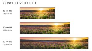 DIMEX | Fototapeta do kuchyně Západ slunce na louku KI-180-145 | 180 x 60 cm | zelená, fialová, žlutá