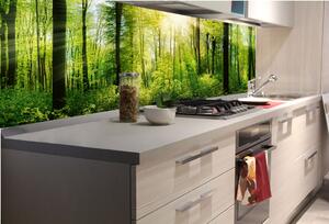 DIMEX | Fototapeta do kuchyně Svěží les KI-180-133 | 180 x 60 cm | zelená, hnědá