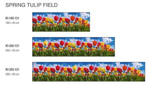 DIMEX | Fototapeta do kuchyně Pole tulipánů KI-180-131 | 180 x 60 cm | zelená, modrá, červená, žlutá